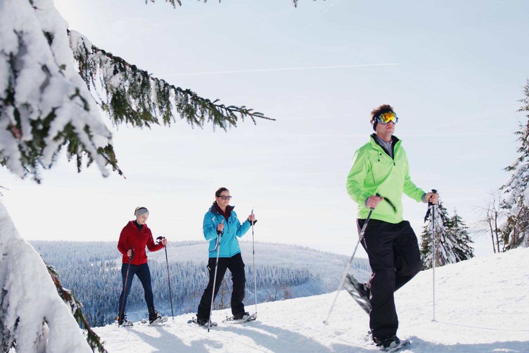 Ahorn Hotel Am Fichtelberg Oberwiesenthal Ngoại thất bức ảnh
