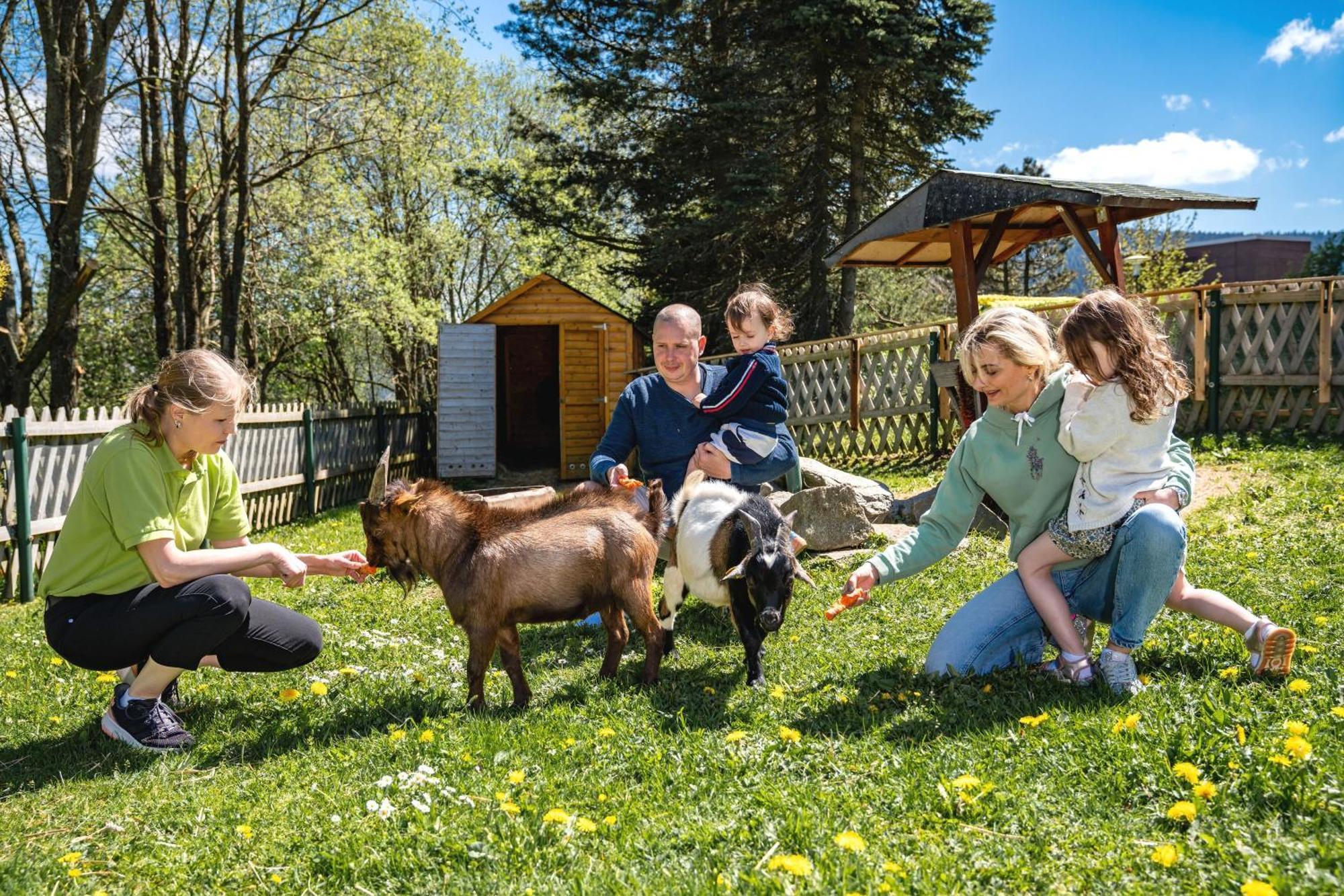 Ahorn Hotel Am Fichtelberg Oberwiesenthal Ngoại thất bức ảnh